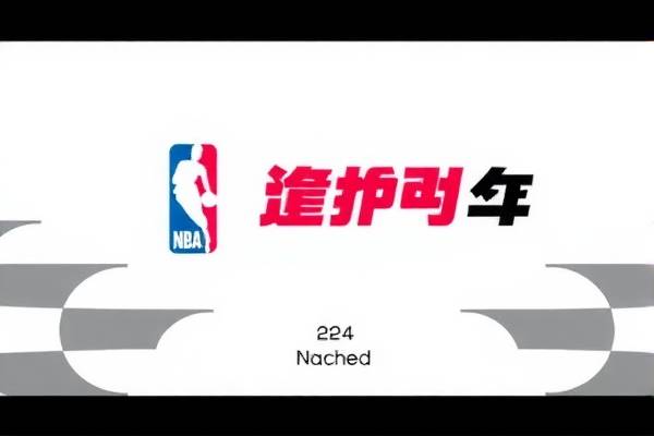 NBA比赛的精彩瞬间，通过24小时录像重温赛场激情