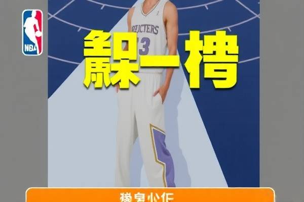 NBA录像高清回放录像免费，重温精彩瞬间，尽享篮球盛宴