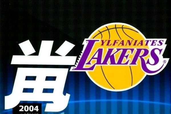 2004年nba中国赛高清录像,2004年nba央视总决赛录像