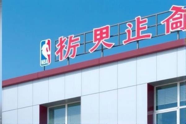 重温历史，2010年勇士NBA录像回顾