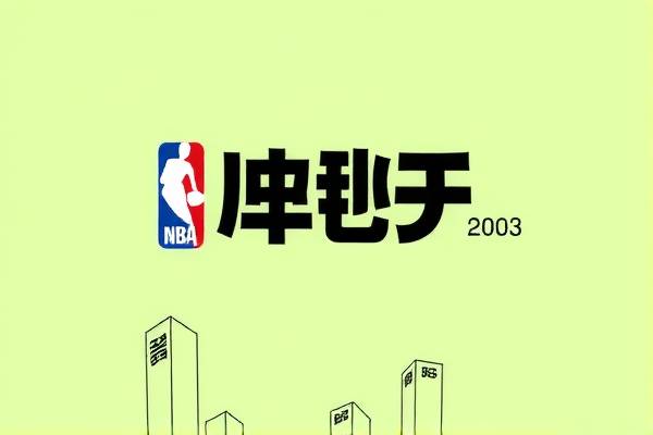 重温经典，NBA 2003赛季录像的回眸